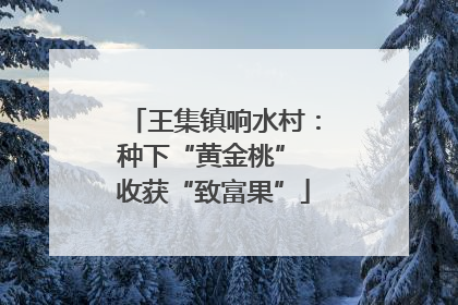 王集镇响水村：种下“黄金桃” 收获“致富果”