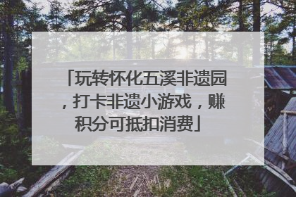 玩转怀化五溪非遗园，打卡非遗小游戏，赚积分可抵扣消费