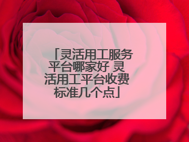 灵活用工服务平台哪家好 灵活用工平台收费标准几个点
