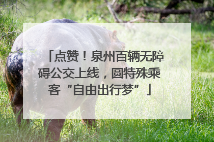 点赞！泉州百辆无障碍公交上线，圆特殊乘客“自由出行梦”