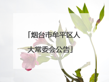 烟台市牟平区人大常委会公告