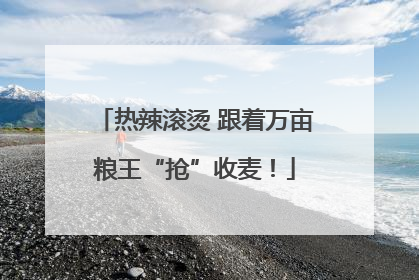 热辣滚烫 跟着万亩粮王“抢”收麦！