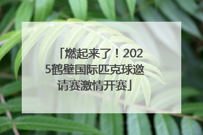 燃起来了！2025鹤壁国际匹克球邀请赛激情开赛