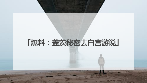 爆料：盖茨秘密去白宫游说