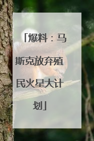 爆料：马斯克放弃殖民火星大计划
