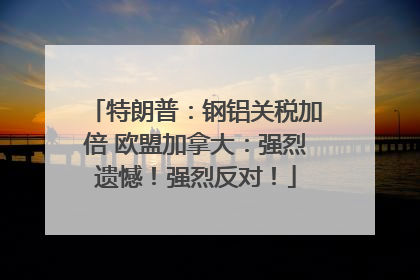 特朗普：钢铝关税加倍 欧盟加拿大：强烈遗憾！强烈反对！
