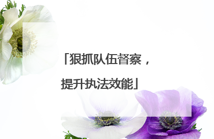狠抓队伍督察，提升执法效能