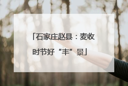 石家庄赵县：麦收时节好“丰”景