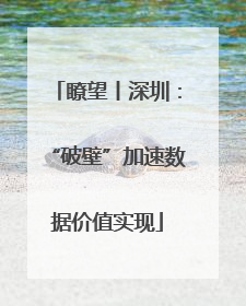 瞭望丨深圳：“破壁”加速数据价值实现
