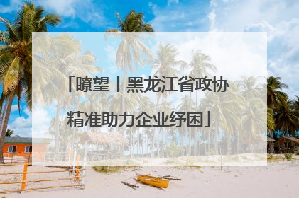 瞭望丨黑龙江省政协精准助力企业纾困