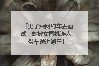 男子乘网约车去面试，却被女司机连人带车送进湖里