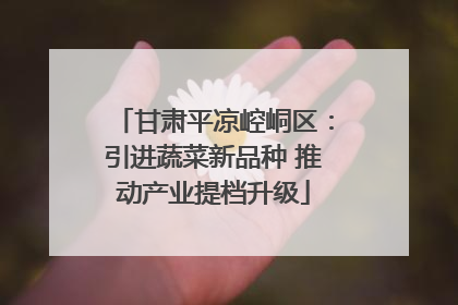 甘肃平凉崆峒区：引进蔬菜新品种 推动产业提档升级