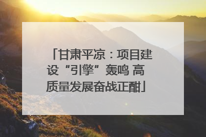 甘肃平凉：项目建设“引擎”轰鸣 高质量发展奋战正酣