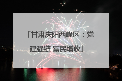 甘肃庆阳西峰区：党建强链 富民增收