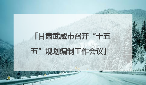 甘肃武威市召开“十五五”规划编制工作会议