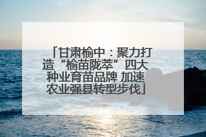 甘肃榆中：聚力打造“榆苗陇萃”四大种业育苗品牌 加速农业强县转型步伐