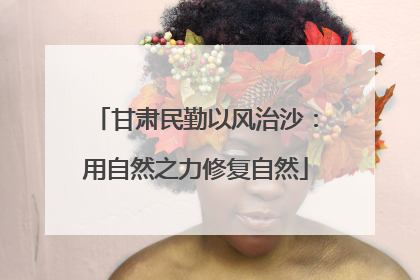 甘肃民勤以风治沙：用自然之力修复自然