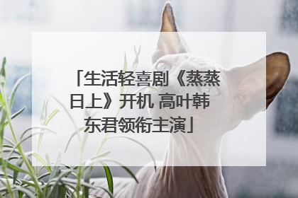 生活轻喜剧《蒸蒸日上》开机 高叶韩东君领衔主演
