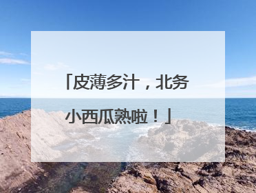 皮薄多汁，北务小西瓜熟啦！