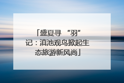 盛夏寻 “羽” 记：滇池观鸟掀起生态旅游新风尚