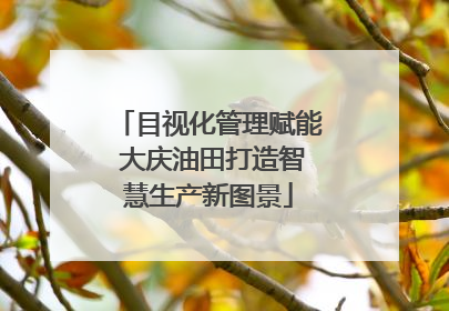 目视化管理赋能 大庆油田打造智慧生产新图景