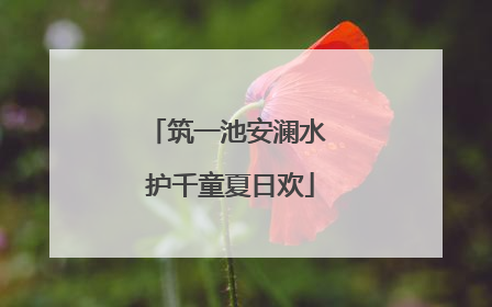 筑一池安澜水 护千童夏日欢