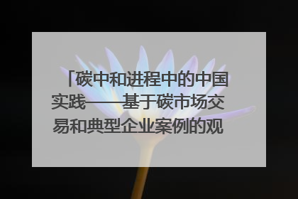 碳中和进程中的中国实践——基于碳市场交易和典型企业案例的观察报告｜旗舰报告