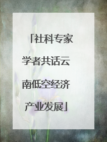 社科专家学者共话云南低空经济产业发展