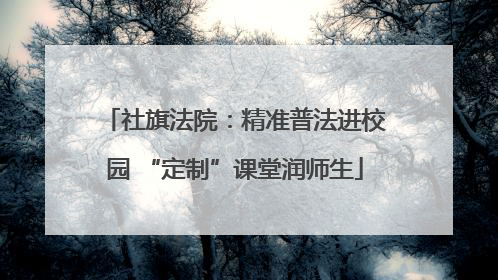 社旗法院：精准普法进校园 “定制”课堂润师生