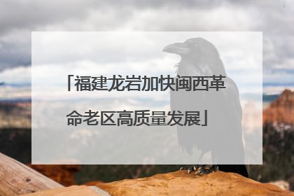 福建龙岩加快闽西革命老区高质量发展