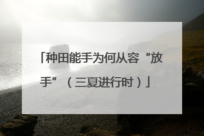 种田能手为何从容“放手”（三夏进行时）