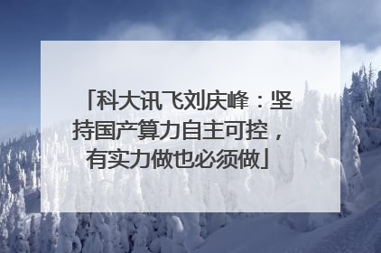 科大讯飞刘庆峰：坚持国产算力自主可控，有实力做也必须做