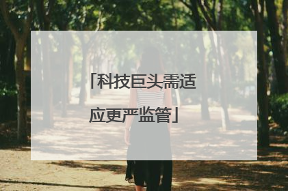 科技巨头需适应更严监管