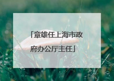 章雄任上海市政府办公厅主任