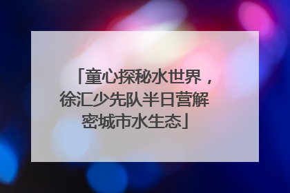 童心探秘水世界，徐汇少先队半日营解密城市水生态