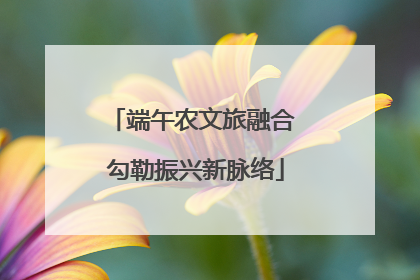 端午农文旅融合 勾勒振兴新脉络