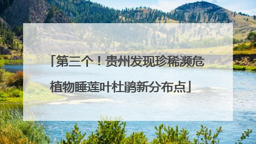 第三个！贵州发现珍稀濒危植物睡莲叶杜鹃新分布点