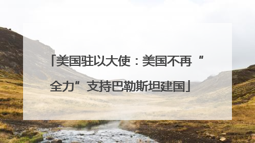 美国驻以大使：美国不再“全力”支持巴勒斯坦建国