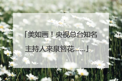 美如画！央视总台知名主持人来泉簪花……