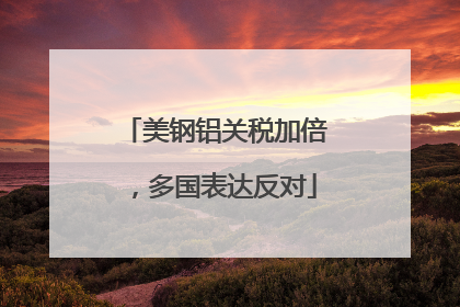 美钢铝关税加倍，多国表达反对
