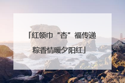 红领巾“杏”福传递 粽香情暖夕阳红