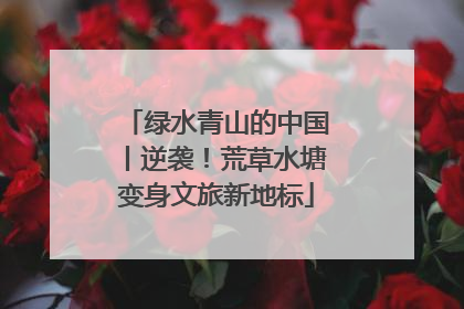 绿水青山的中国丨逆袭！荒草水塘变身文旅新地标