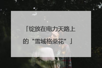 绽放在电力天路上的“雪域格桑花”