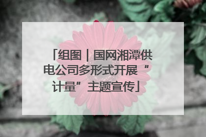 组图｜国网湘潭供电公司多形式开展“计量”主题宣传