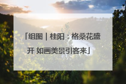 组图｜桂阳：格桑花盛开 如画美景引客来