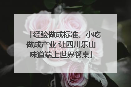 经验做成标准、小吃做成产业 让四川乐山味道端上世界餐桌