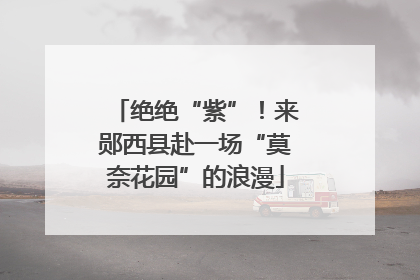绝绝“紫”！来郧西县赴一场“莫奈花园”的浪漫