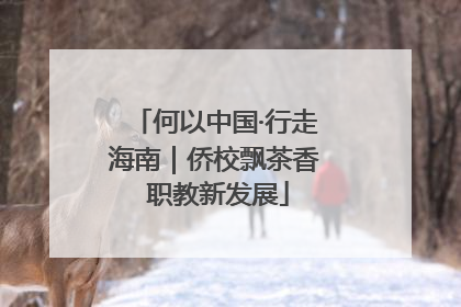 何以中国·行走海南｜侨校飘茶香 职教新发展