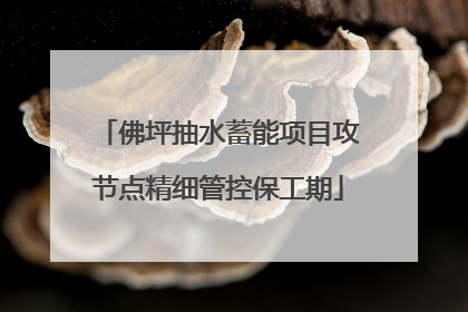 佛坪抽水蓄能项目攻节点精细管控保工期