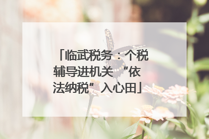 临武税务：个税辅导进机关 “依法纳税”入心田